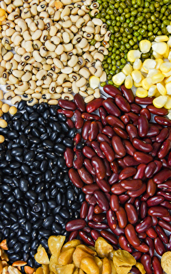 Hülsenfrüchte