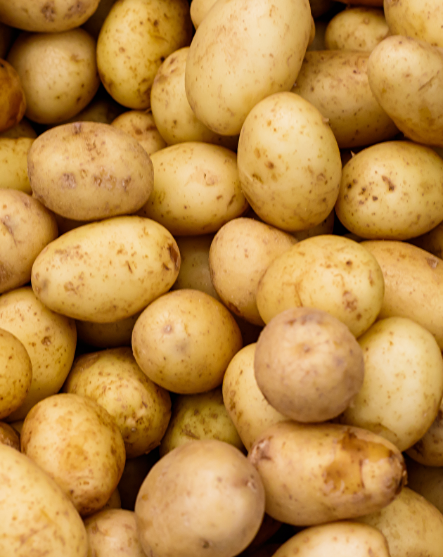 Kartoffeln